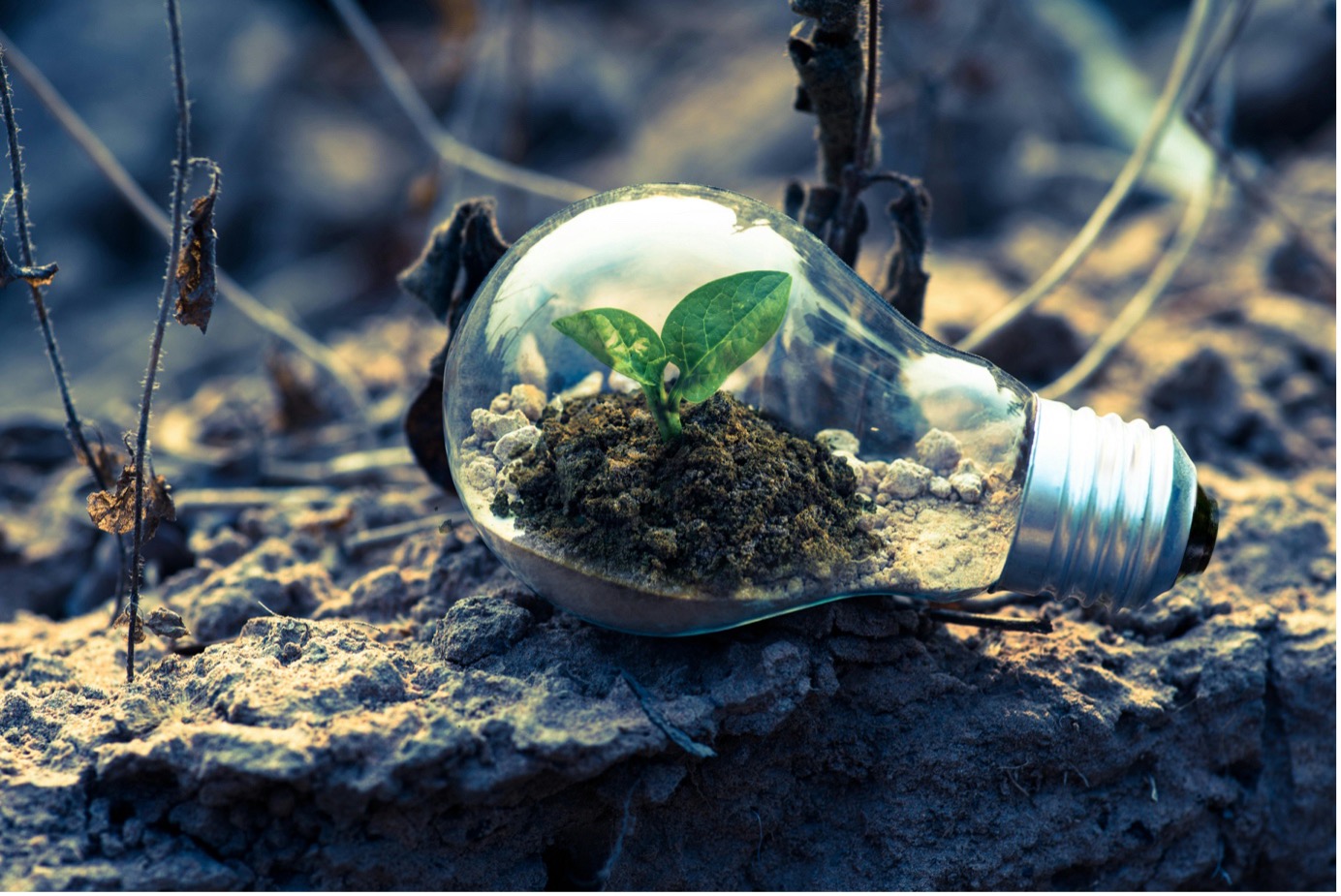 Duurzaamheid in de ICT-sector: Groene Technologieën en Innovaties